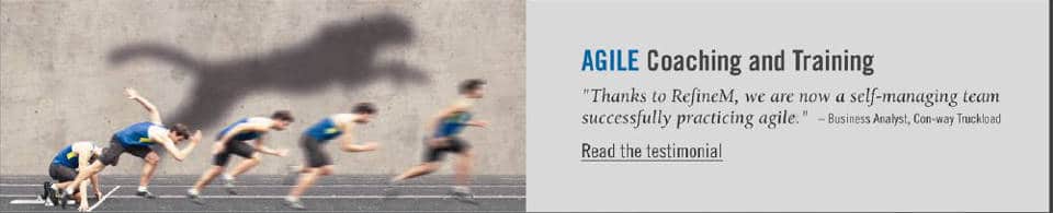 Agile Coaching and Training