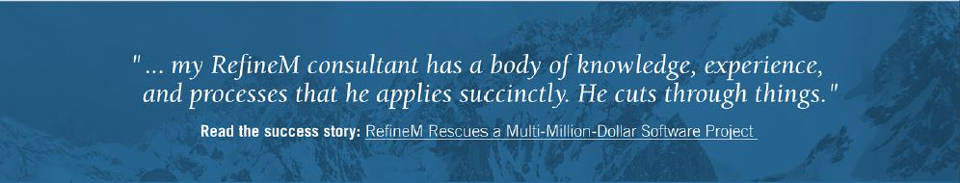 "[my RefineM Consultant] has a body of knowledge, skills, and processes that he applies succinctly. He cuts through things."