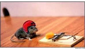 Smart Mouse