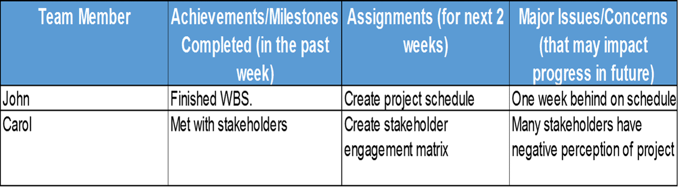 Example of Performance Report