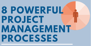 Infographic Preview for 8 Powerful Project Management Processes